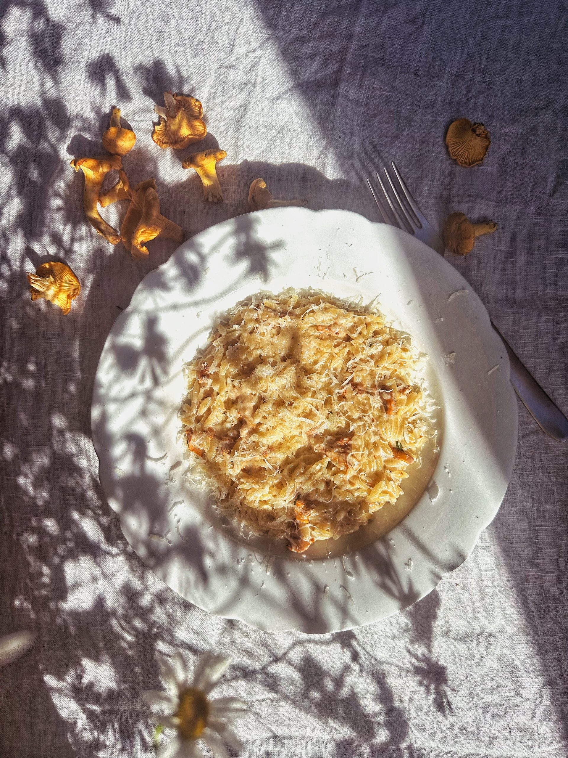 Kantarellipasta, helppo kantarellipasta, sienipasta tuorejuustolla, kantarelliorzotto